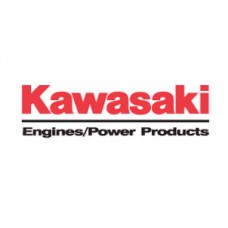 Поршень Kawasaki №13001-2136 (13001-2186)